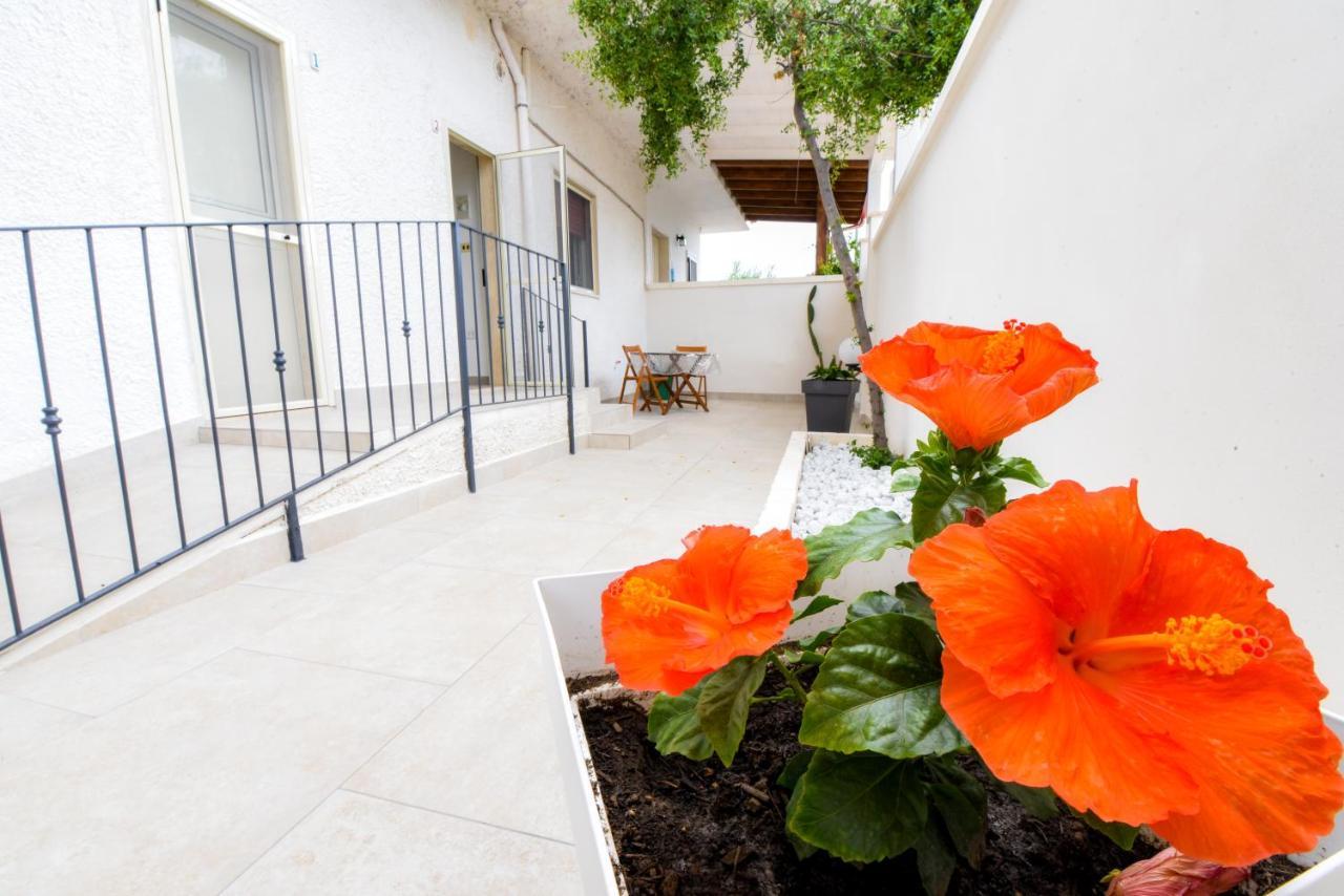 B&B Macchia Mediterranea ซานเปียโตร อิน เบวานญา ภายนอก รูปภาพ