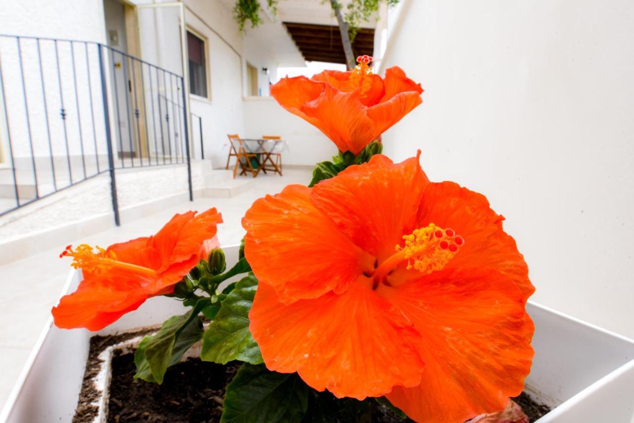 B&B Macchia Mediterranea ซานเปียโตร อิน เบวานญา ภายนอก รูปภาพ